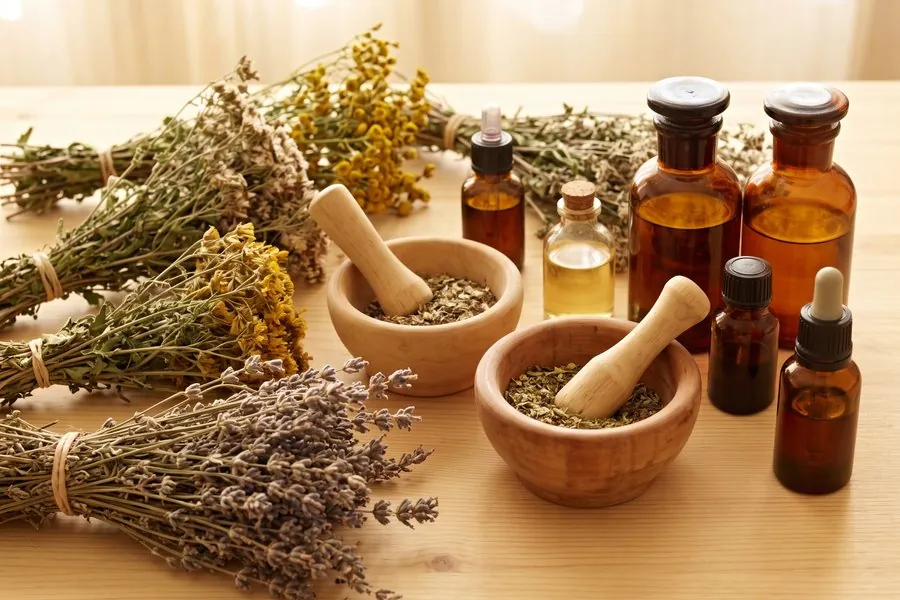 Fitoteràpia: plantes medicinals i extractes naturals